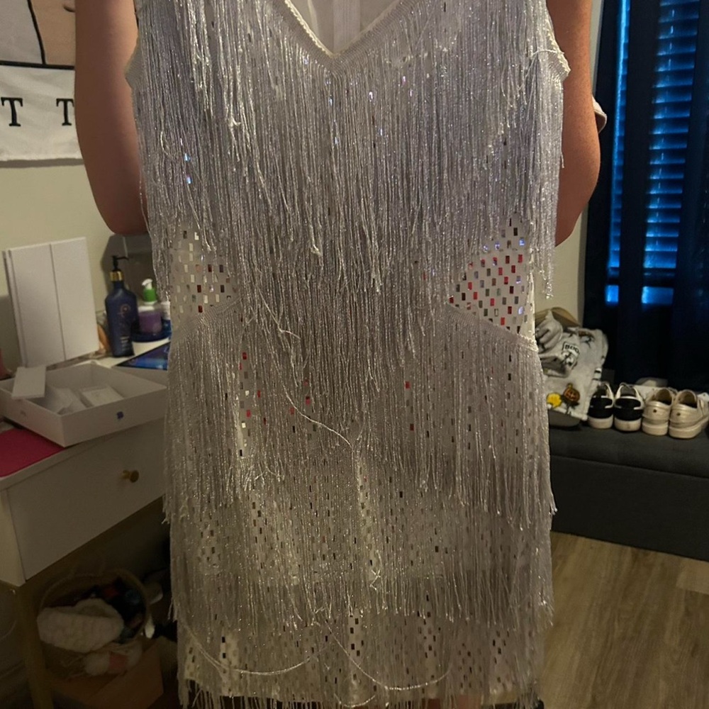 Elegant Silver Fringe Dress